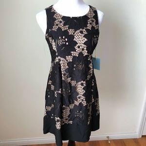 CeCe by Cynthia Steffe Azura lace dress